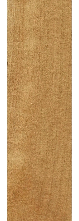 ModernWood Texture