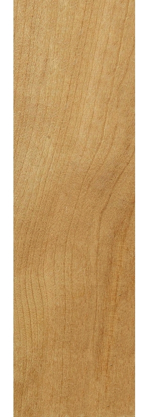 ModernWood Texture