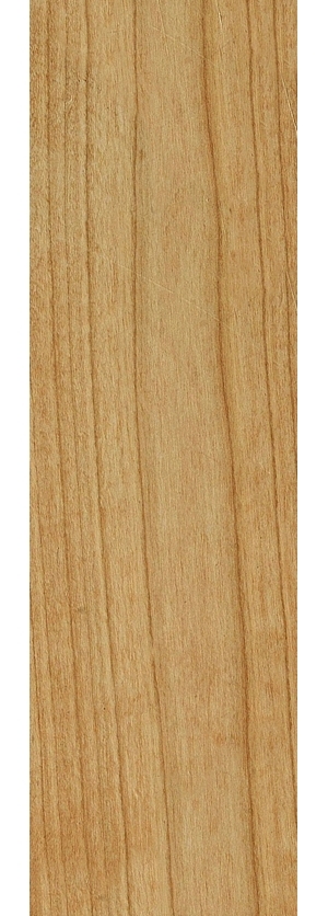 ModernWood Texture
