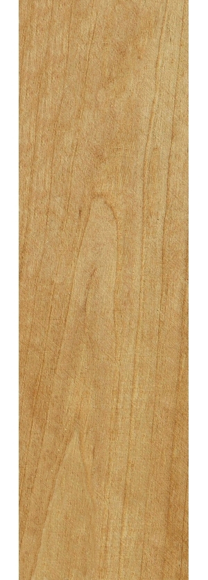ModernWood Texture
