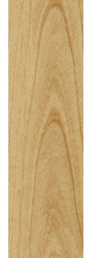ModernWood Texture