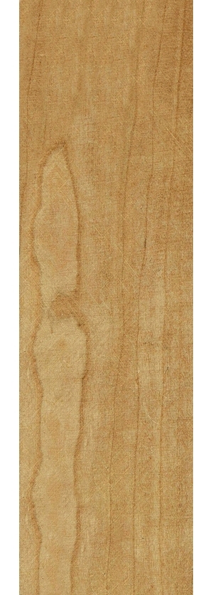 ModernWood Texture