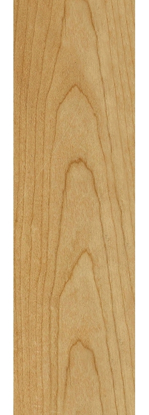 ModernWood Texture