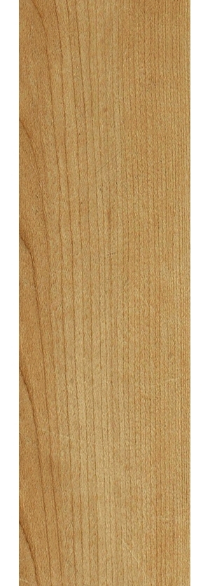 ModernWood Texture