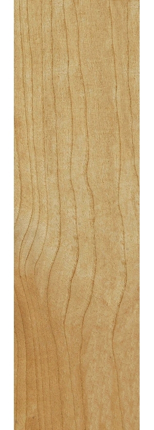 ModernWood Texture