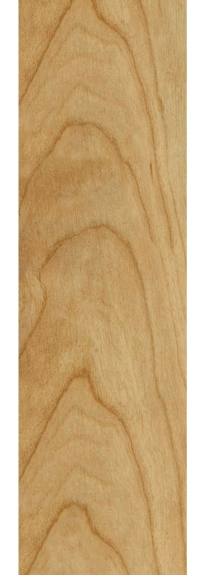ModernWood Texture