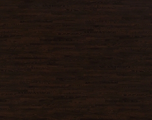 Modern