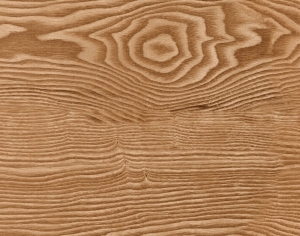 ModernWood Texture