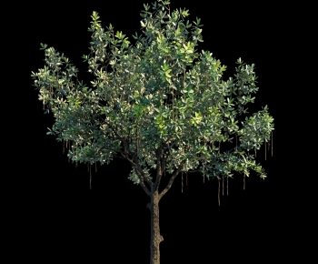 Modern Tree-ID:207747944