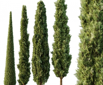 Modern Tree-ID:343472965