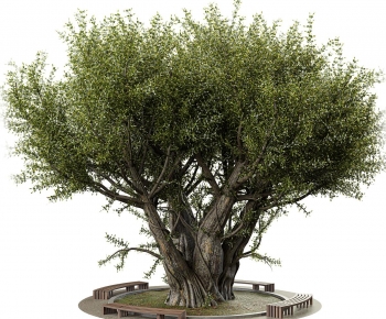 Modern Tree-ID:965431934