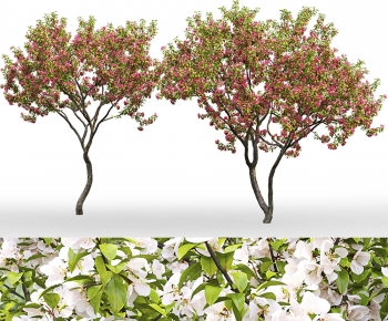 Modern Tree-ID:904007914