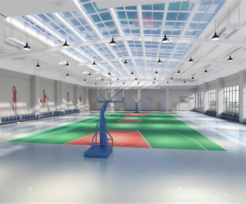 Modern Basketball Arena-ID:805506942