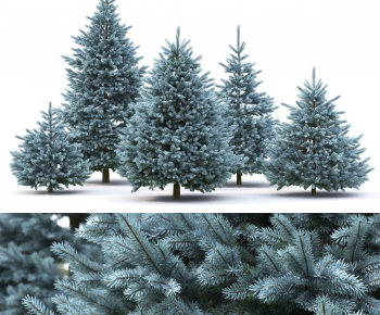 Modern Tree-ID:647850043