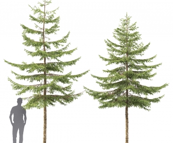 Modern Tree-ID:417994028