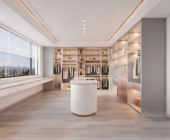 Modern Clothes Storage Area-ID:278256895