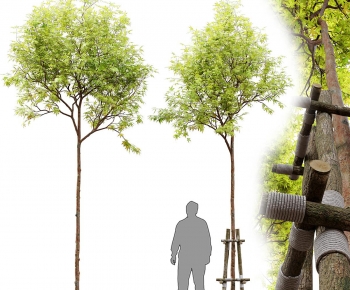 Modern Tree-ID:253110899