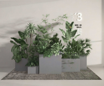 Modern Flower Bed, Flower Bowl, Flower Box-ID:112381942