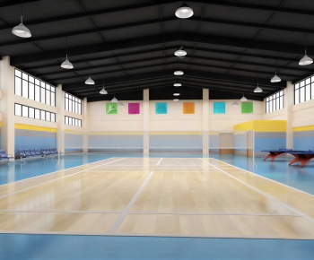 Modern Indoor Stadium-ID:258483896