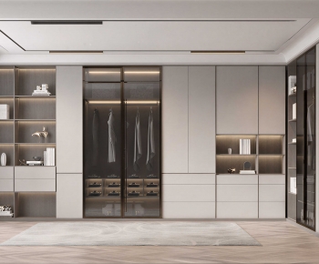 Modern Clothes Storage Area-ID:308508969