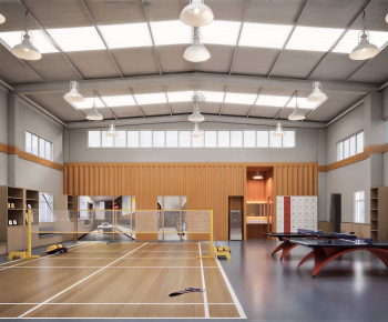 Modern Indoor Stadium-ID:785478127