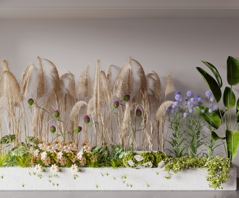 Modern Flower Bed, Flower Bowl, Flower Box-ID:445802935