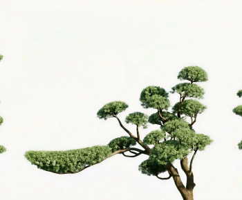 Modern Tree-ID:658711912