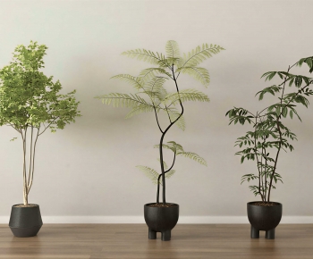 Modern Ground Green Plant Potted Plants-ID:382258896