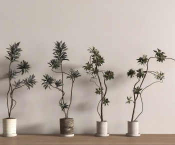 Modern Ground Green Plant Potted Plants-ID:445261003