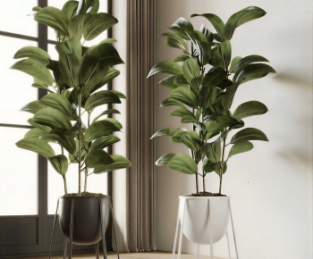 Modern Ground Green Plant Potted Plants-ID:916773087
