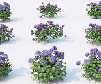 Modern Shrubbery-ID:623650072