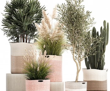 Modern Ground Green Plant Potted Plants-ID:465295088