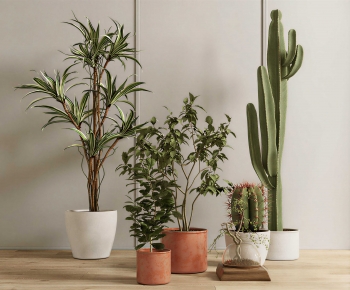 Modern Ground Green Plant Potted Plants-ID:876278982