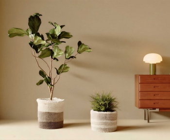 Modern Ground Green Plant Potted Plants-ID:716551073