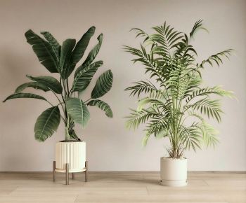 Modern Ground Green Plant Potted Plants-ID:493647107