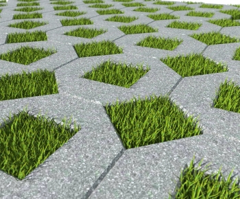 Modern The Grass-ID:251100124