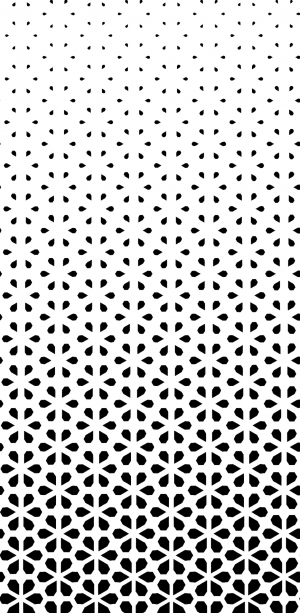 ModernBump Black And White