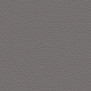 ModernRough Grain Leather