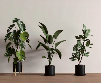 Modern Ground Green Plant Potted Plants-ID:926100022