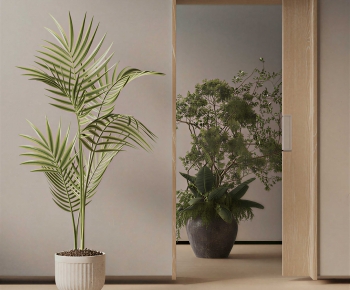 Modern Ground Green Plant Potted Plants-ID:824569947