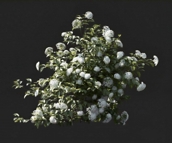 Modern Flowers And Grass-ID:770680906