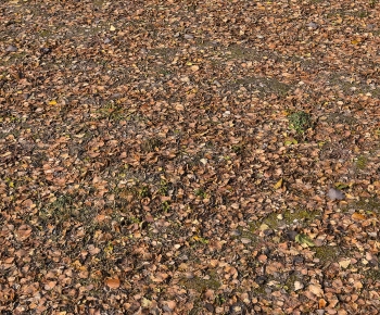 Modern Other-ID:820470097