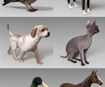 Modern Animal Dog-ID:788108117