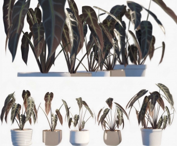 Modern Potted Green Plant-ID:587512975