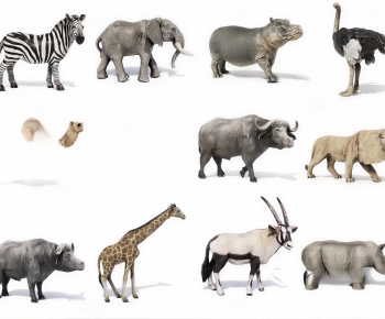 Modern Animal-ID:181899184