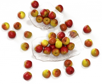 Modern Fruit-ID:615237956