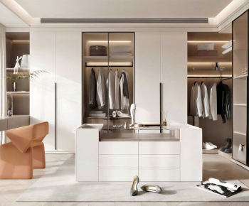 Modern Clothes Storage Area-ID:212985049