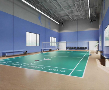 Modern Indoor Badminton Court-ID:466295965
