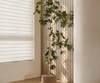 Modern Ground Green Plant Potted Plants-ID:290059091