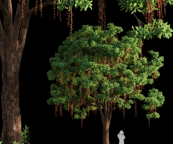 Modern Tree-ID:804089074